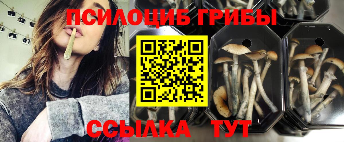 Псилоцибиновые грибы Magic Shrooms Урай